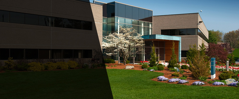 Round Rock Landscapers