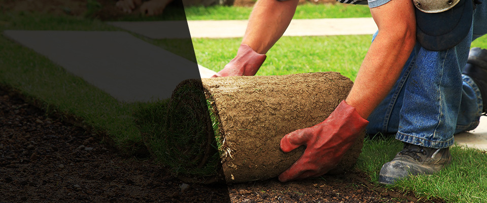 Round Rock Landscapers